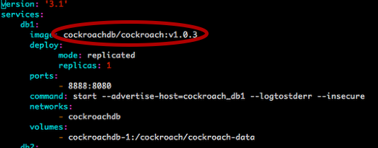 CockroachDB with Persistent Data